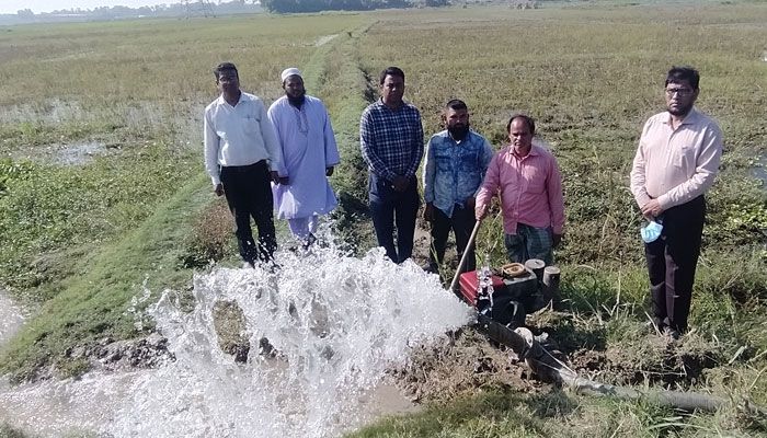 গজারিয়া চকে জলাবদ্ধতায় অনাবাদি বিস্তীর্ণ জমি