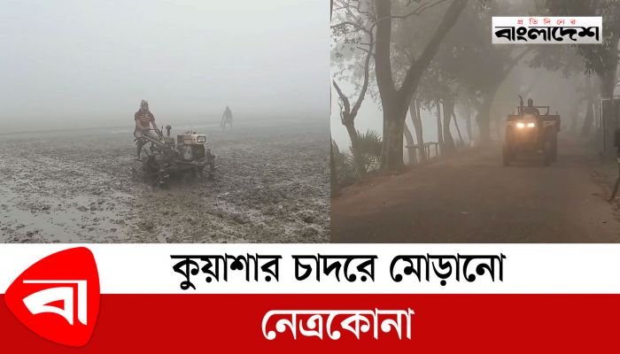 কুয়াশার চাদরে মোড়ানো নেত্রকোণা, বাড়ছে শীতের তীব্রতা 