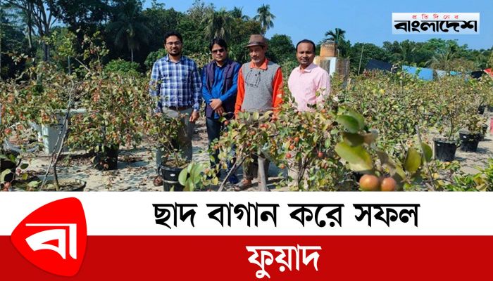 ছাদ বাগান করে সফল ফুয়াদ