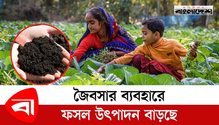  জৈবসার ব্যবহারে ফসল উৎপাদন বাড়ছে 