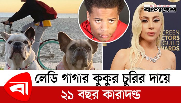 লেডি গাগার কুকুর চুরির দায়ে ২১ বছর কারাদণ্ড