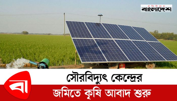 সৌরবিদ্যুৎ কেন্দ্রের জমিতে কৃষি আবাদ শুরু 