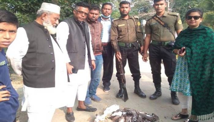 পাখি শিকারের দায়ে যুবকের কারাদণ্ড