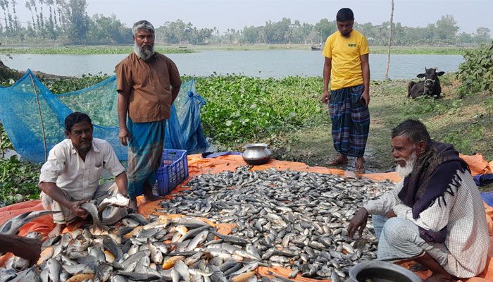 বিষ দিয়ে তিন লাখ টাকার মাছ মারার অভিযোগ