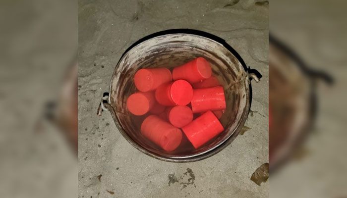 আমবাগান থেকে ১৮টি ককটেল উদ্ধার