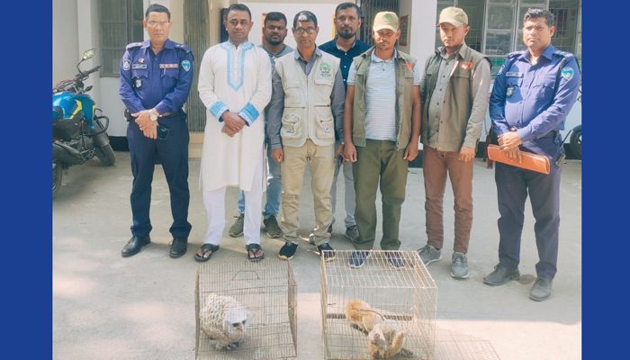 বানর ও পেঁচা পাচারকালে চারজন আটক, জরিমানা-কারাদণ্ড