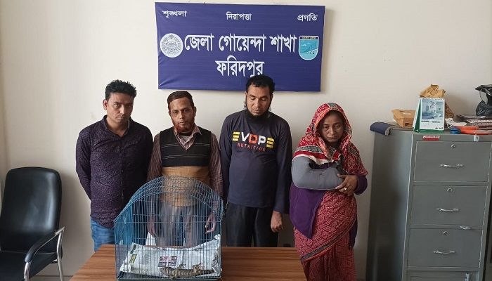 ফরিদপুরে বিলুপ্তপ্রায় তক্ষক উদ্ধার, গ্রেপ্তার ৪