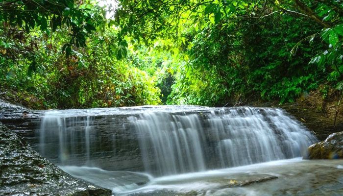নাপিত্তাছড়া ঝরনার অপার সৌন্দর্য