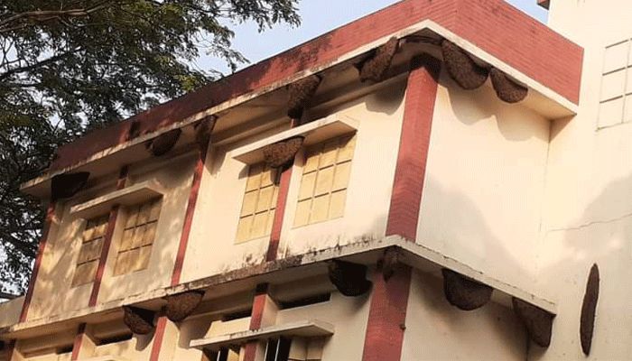 বিদ্যালয় ভবনে ১৯ মৌচাক, আতঙ্কে শিক্ষক-অভিভাবকরা
