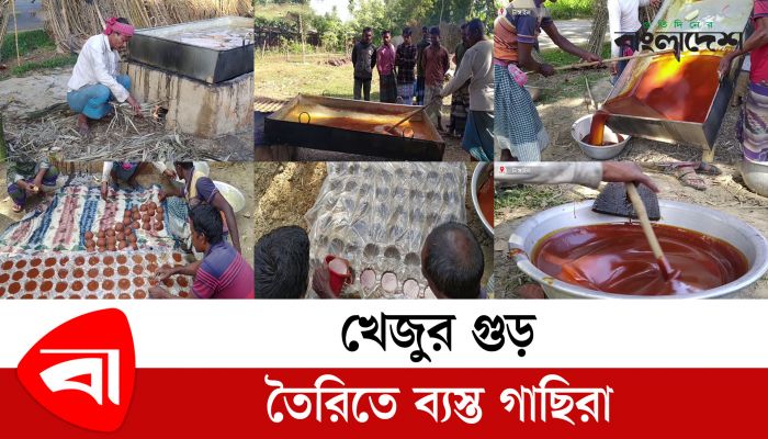 খেজুর গুড় তৈরিতে ব্যস্ত গাছিরা