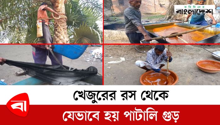 খেজুরের রস থেকে যেভাবে হয় পাটালি গুড়