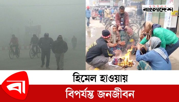 ঘন কুয়াশা আর হিমেল হাওয়ায় বিপর্যস্ত জনজীবন