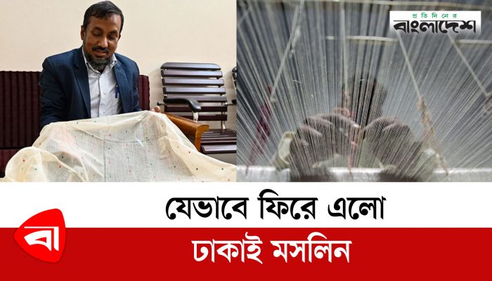 যেভাবে ফিরে এলো ঢাকাই মসলিন 