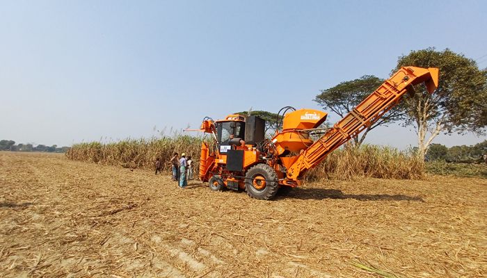 ক্ষেতে হারভেস্টার মেশিনে কাটা হচ্ছে আখ। প্রবা ফটো
