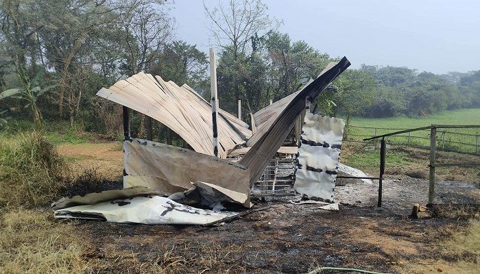 সাভারে আগুনে পুড়ে মরল গবেষণার ৩৭০ মুরগি