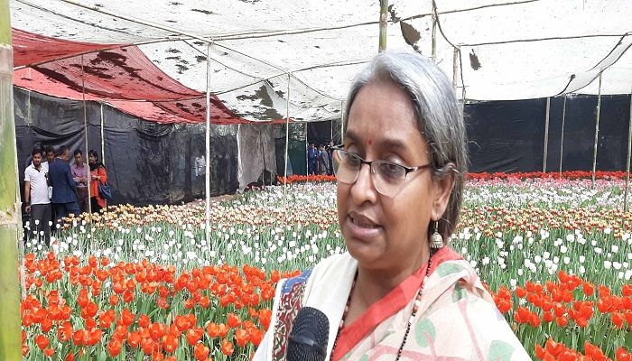 শ্রীপুরে টিউলিপ বাগান পরিদর্শন করলেন শিক্ষামন্ত্রী