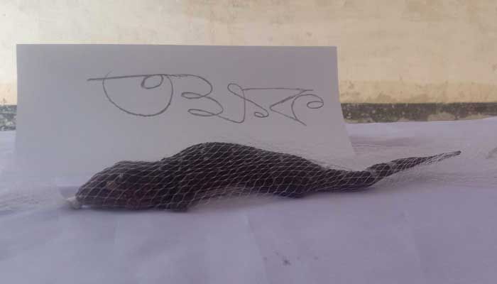 তক্ষক উদ্ধার করে বনে অবমুক্ত
