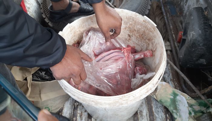 ২০ কেজি হরিণের মাংস জব্দ