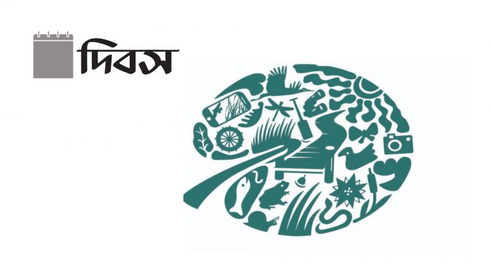 জলাভূমি ও পরিবেশ