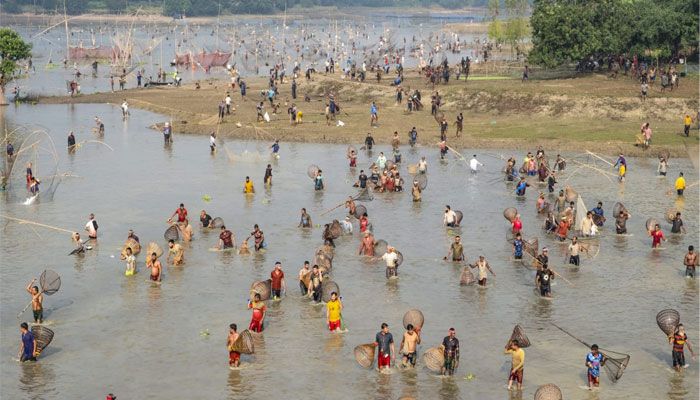 মাছ ধরা উৎসব