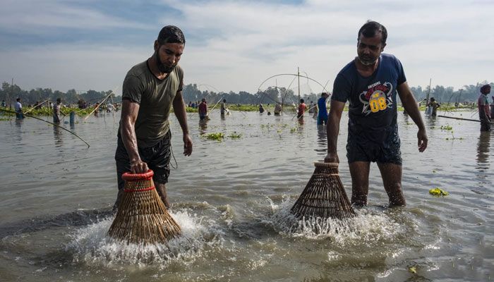 মাছ ধরা উৎসব