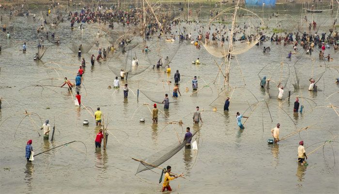 মাছ ধরা উৎসব