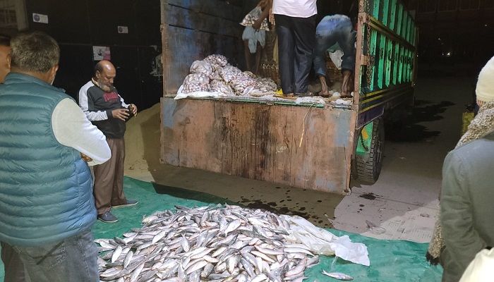 নোয়াখালীতে ১০ মণ জাটকা জব্দ