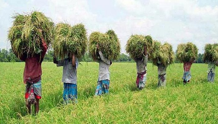 কৃষিবিদ দিবস আজ