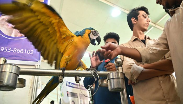 প্রাণিসম্পদ সেবা সপ্তাহ ও প্রদর্শনী