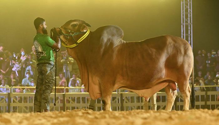 প্রাণিসম্পদ সেবা সপ্তাহ ও প্রদর্শনী