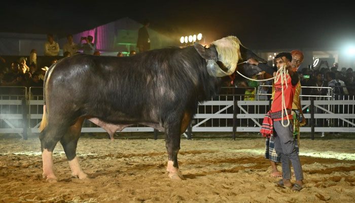 প্রাণিসম্পদ সেবা সপ্তাহ ও প্রদর্শনী