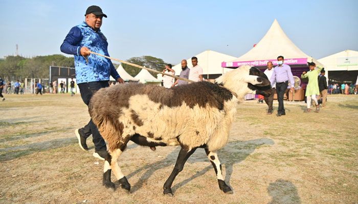 প্রাণিসম্পদ সেবা সপ্তাহ ও প্রদর্শনী