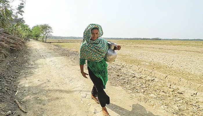 পুরো পিরোজপুরে নোনাপানি