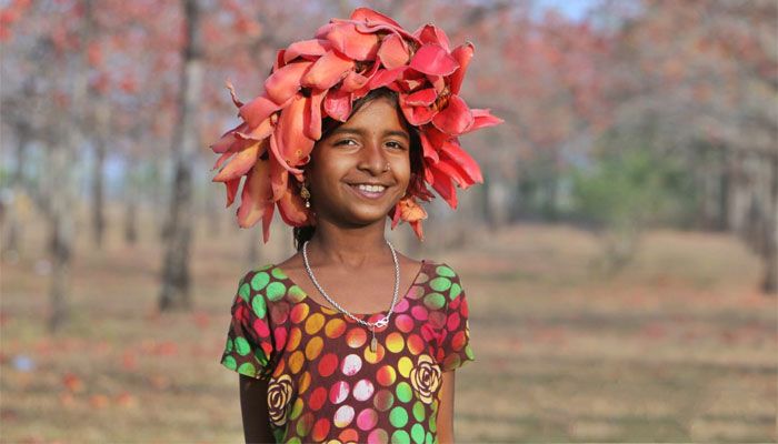 শিমুলের রাজ্য
