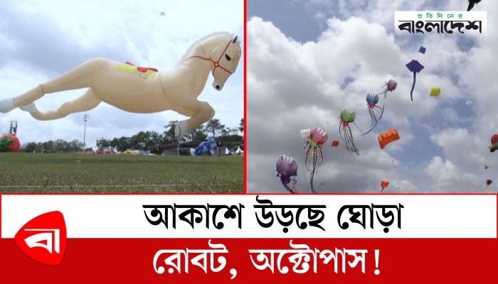  আকাশে উড়ছে ঘোড়া, রোবট, অক্টোপাস! 