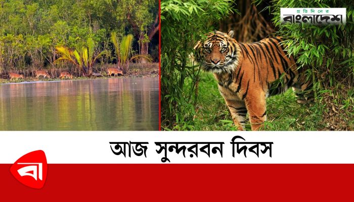 আজ সুন্দরবন দিবস
