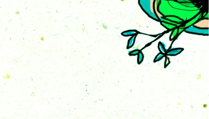 পামিস্ট