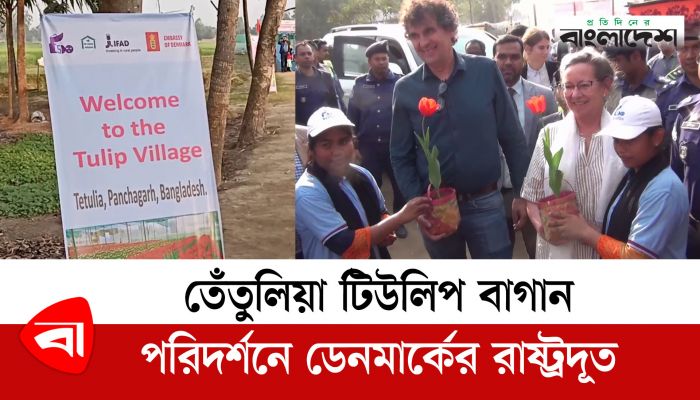 তেঁতুলিয়া টিউলিপ বাগান পরিদর্শনে ডেনমার্কের রাষ্ট্রদূত 