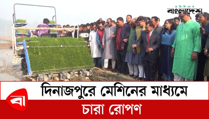  দিনাজপুরে মেশিনের মাধ্যমে চারা রোপণ