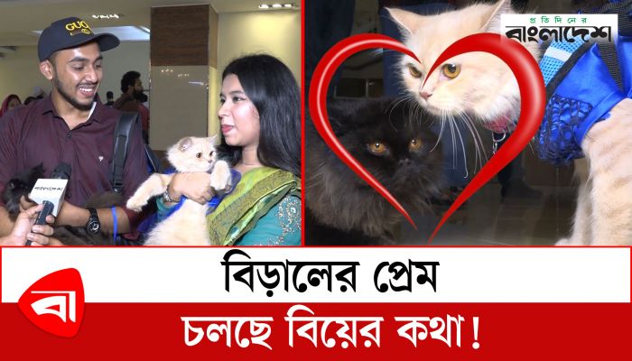 র‍্যাম্প শো'তে এসে বিড়ালের প্রেম, চলছে বিয়ের কথা!