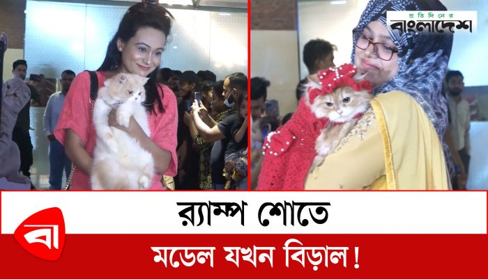 ঢাকায় বিড়ালের র‍্যাম্প শো!