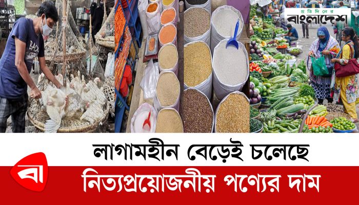লাগামহীন বেড়েই চলেছে নিত্যপ্রয়োজনীয় পণ্যের দাম