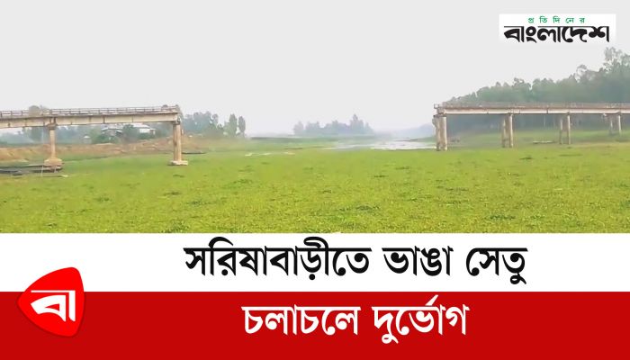 সরিষাবাড়ীতে ভাঙা সেতু সংস্কার হয়নি, চলাচলে দুর্ভোগ 