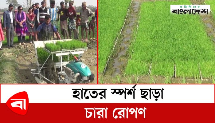 হাতের স্পর্শ ছাড়া চারা রোপণ