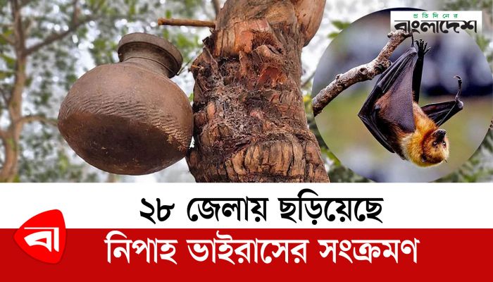 ২৮ জেলায় ছড়িয়েছে নিপাহ ভাইরাসের সংক্রমণ