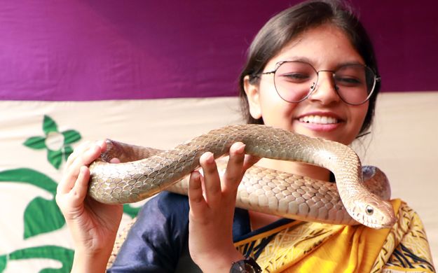টিএসসিতে বসন্ত উৎসব