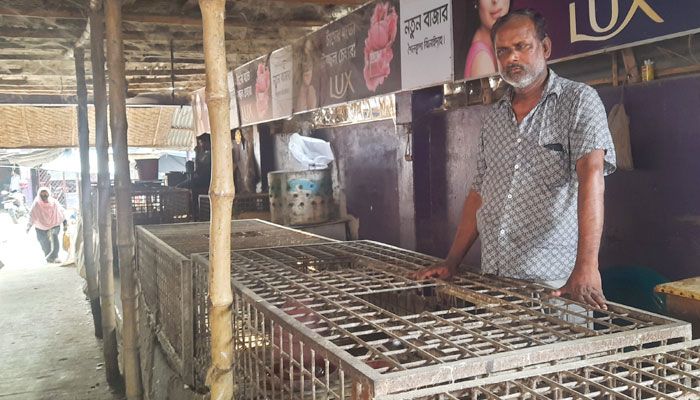 ব্রয়লার মুরগিশূন্য শৈলকুপার বাজার