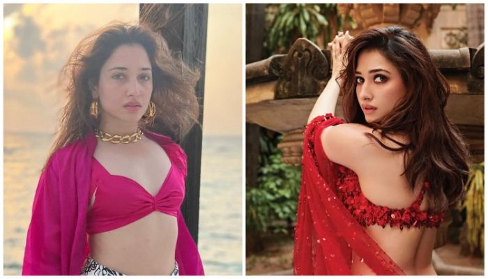 প্রেমের গুঞ্জনে বিরক্ত তামান্না