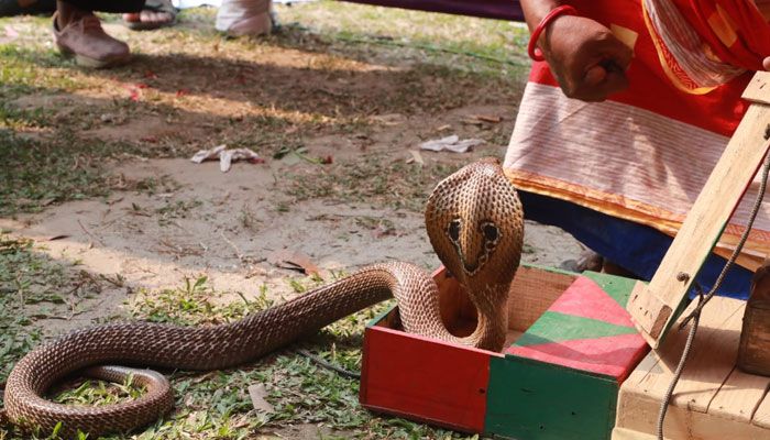 টিএসসিতে বসন্ত উৎসব
