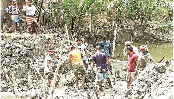 লবণপানিতে নষ্ট হচ্ছে ধান